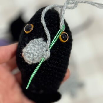 Sew the beak